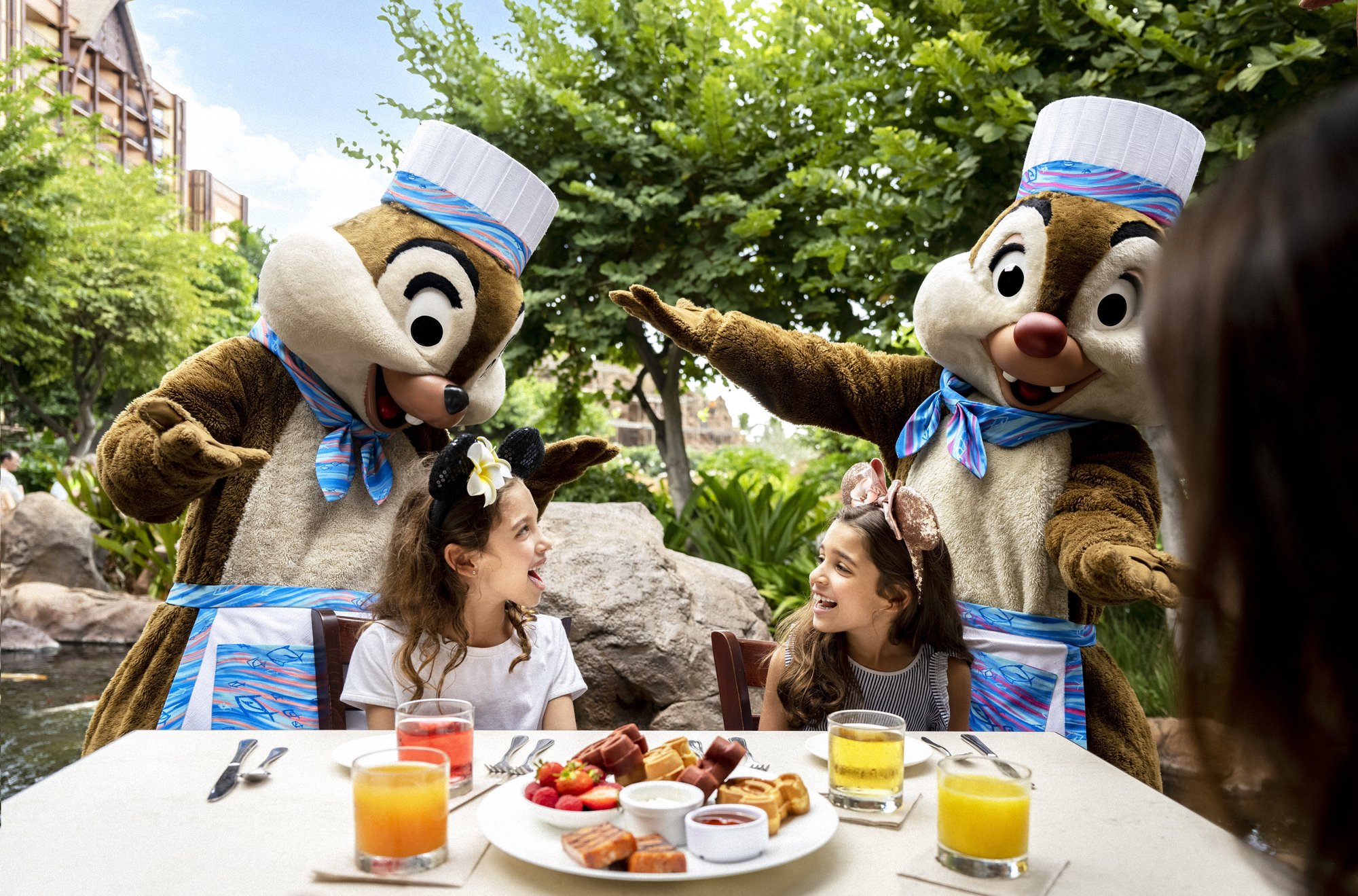 chip and dale dining